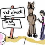 Observations from the vet line
