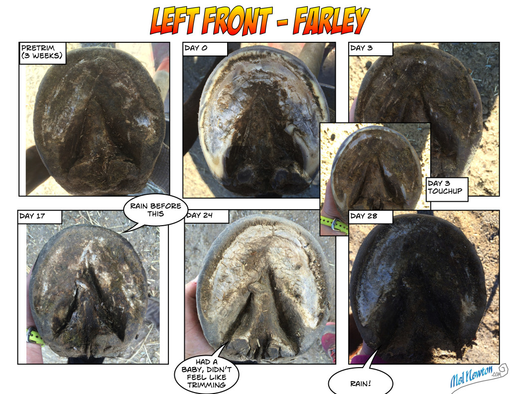 Temporal Hoof project - LF Fall 2015