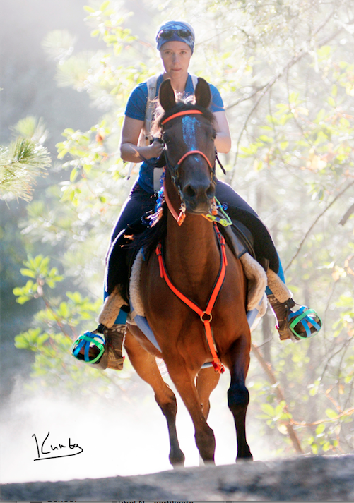 How Endurance Riding Healed Me – Equestrian Adventuresses™