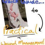 (Not so) Quick Guide to...Wound Management.