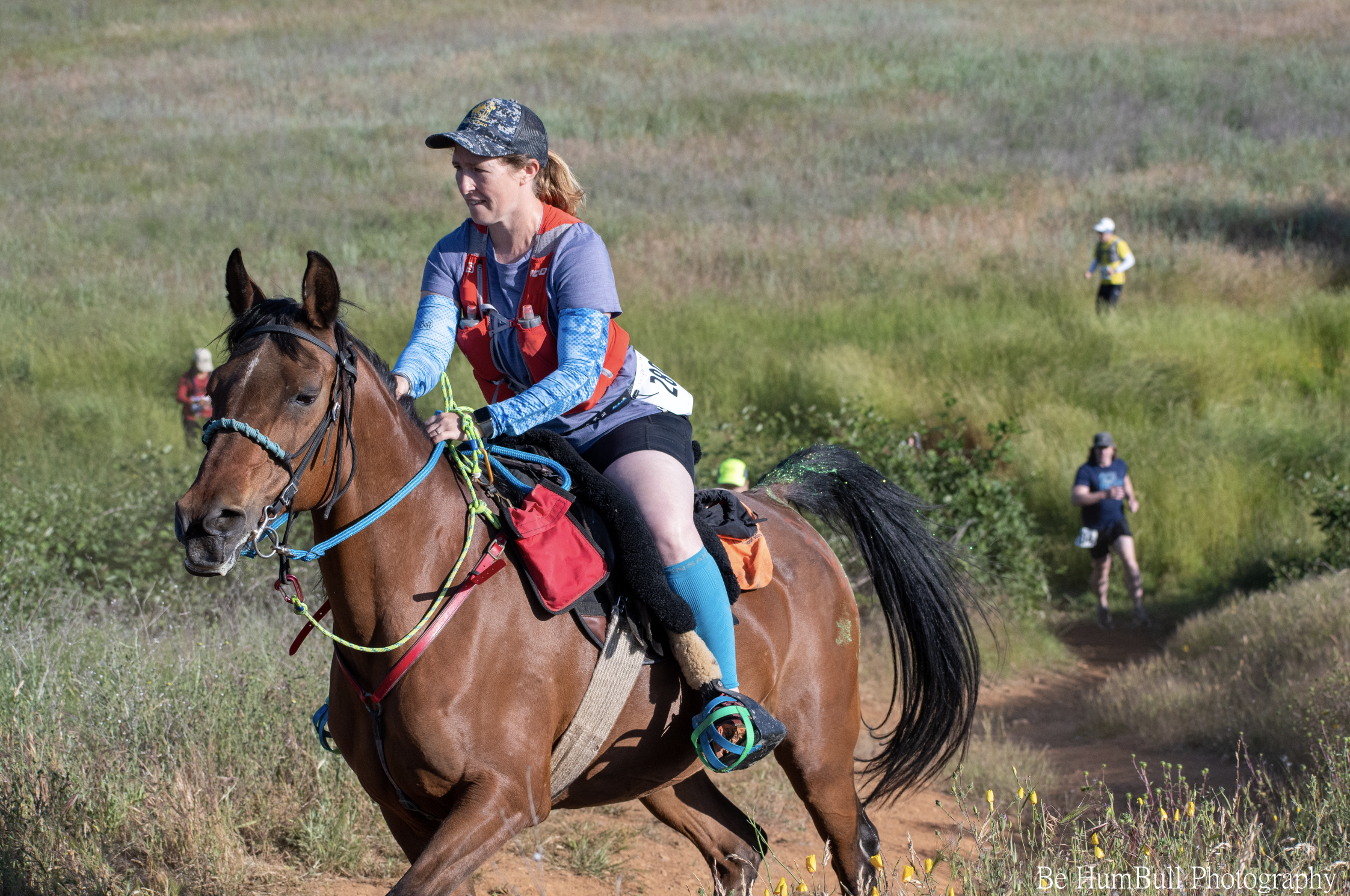 What is Endurance Riding?